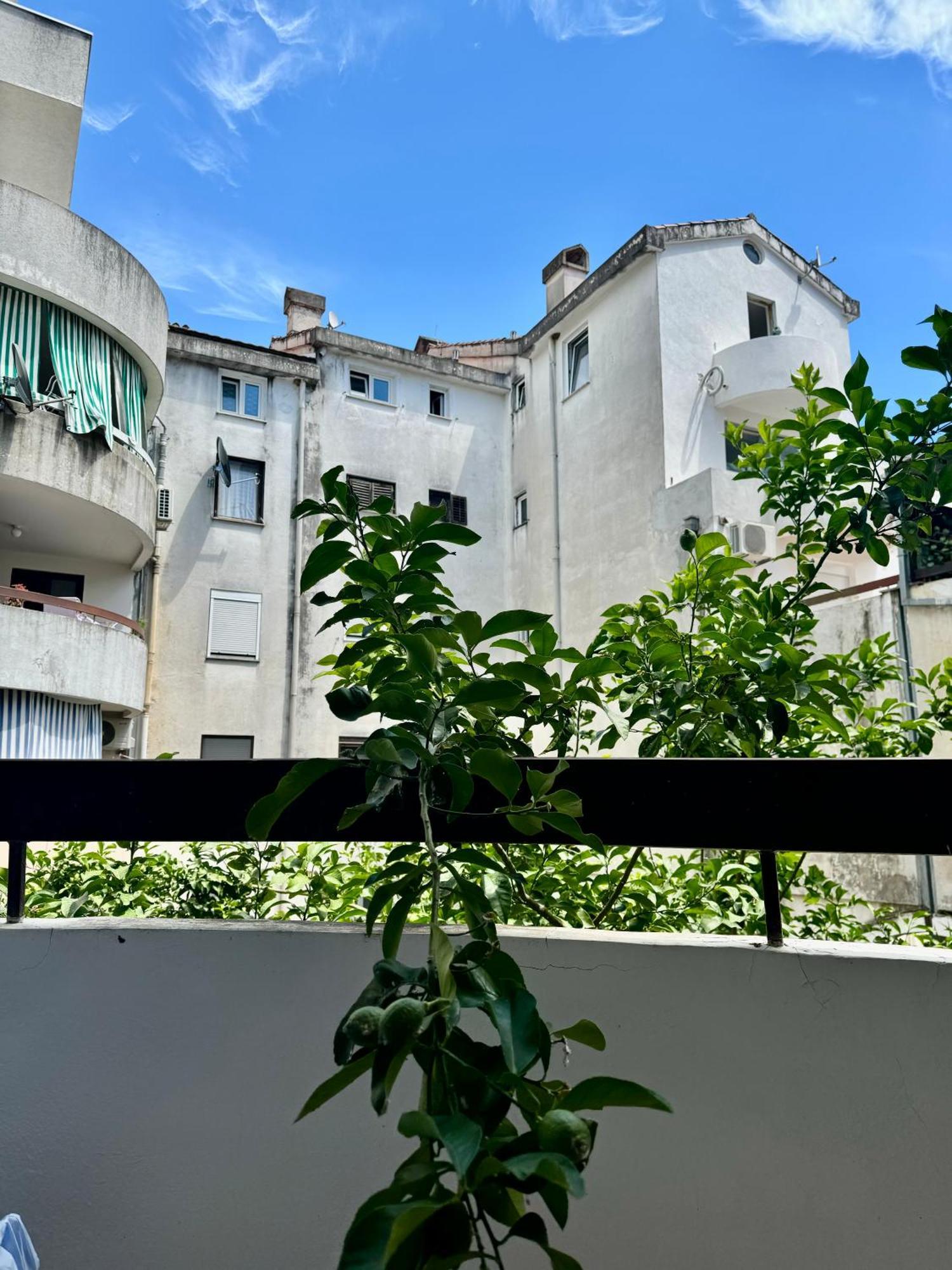 Stan-apartman Blue Bottle * Budva